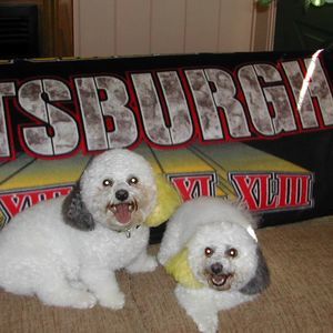 Meet your Posher, Kathi